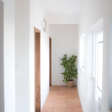Casa Escadinhas Apartment