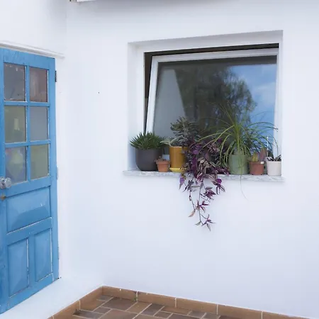 דירה Casa Escadinhas בודנס